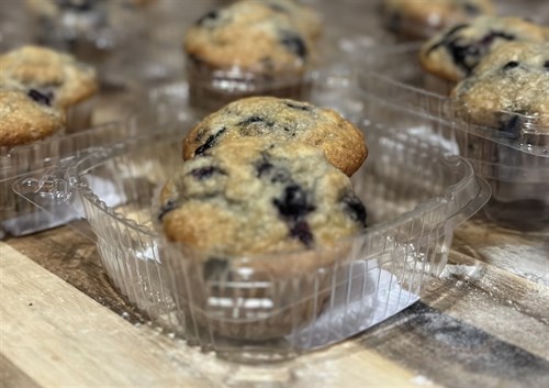 Muffins - Blueberry (2 pack)
