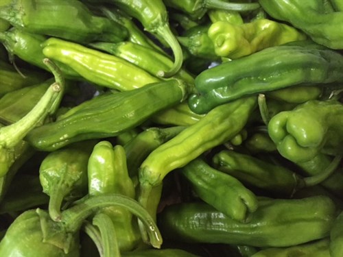 Shishito peppers
