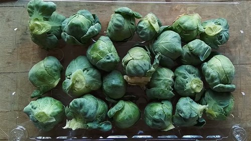 Brussels Sprouts