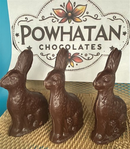 Solid Dark Chocolate Bunny