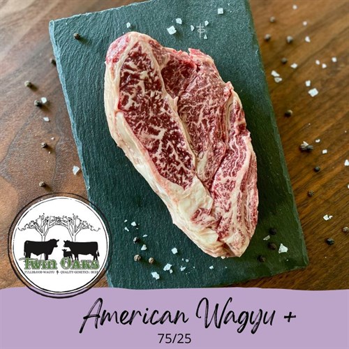 Chuck Eye | American Wagyu + [75/25]