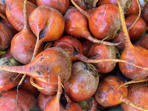 Golden Beets