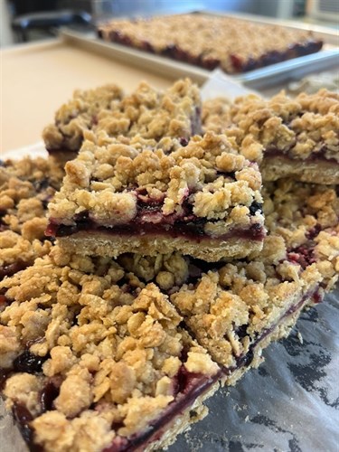 Fruit Oat Bars- PLUM (vegan)