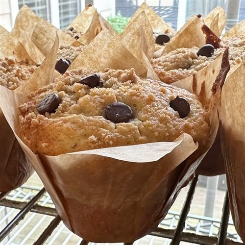 Chocolate Chip Muffin