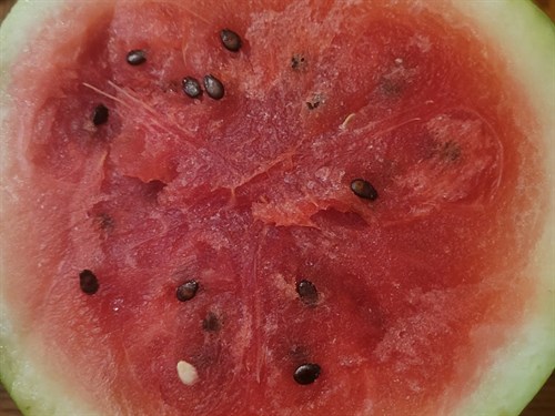 Watermelon Seeded