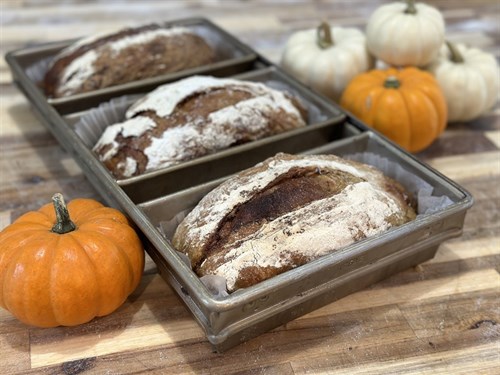 Sourdough - Pumpkin Swirl