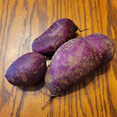 Sweet potato- Purple Splendor