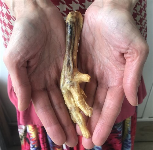 Chicken Feet Dog Treat