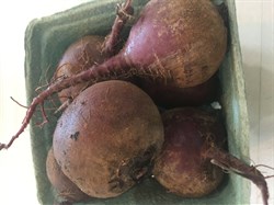 Baby Red Beets