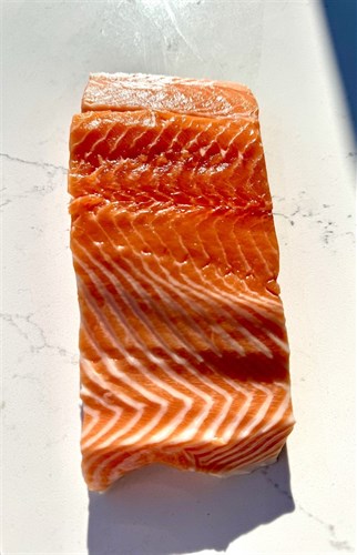 New Zealand King Salmon