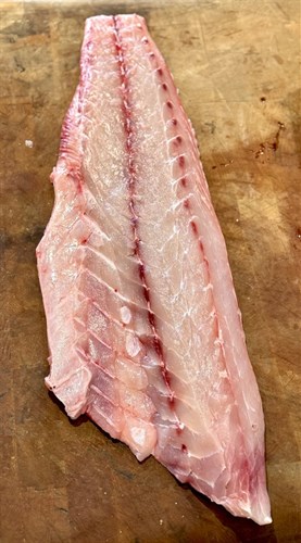 Rockfish (Striped Bass)