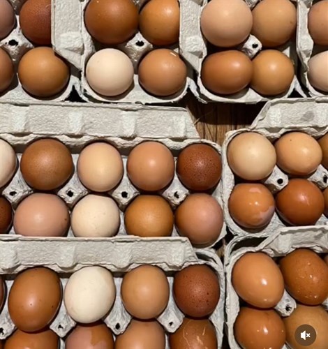 Eggs