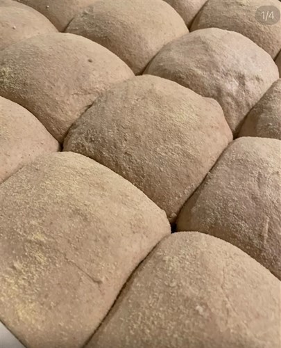 Frozen Sourdough pizza dough