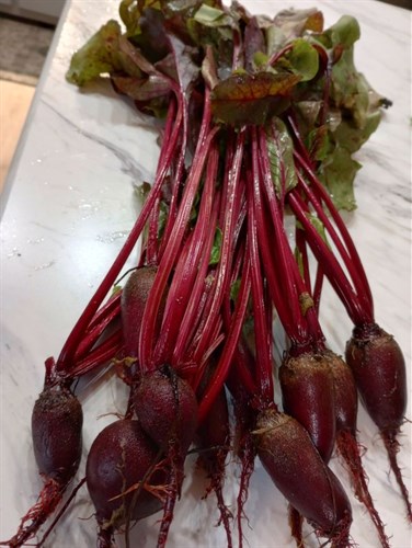 Beets