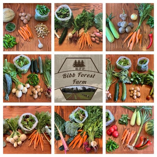 Bibb Forest Farm- Best of Farm