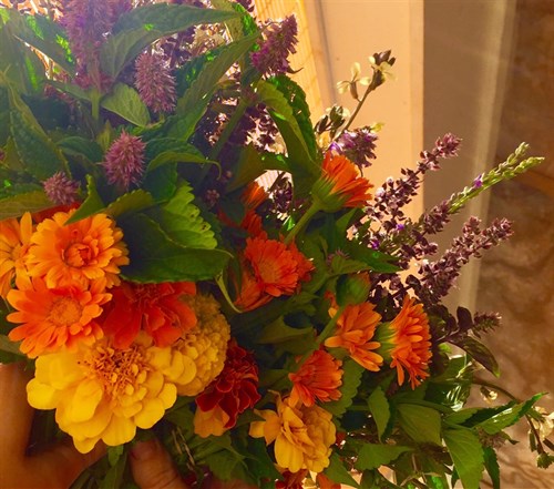 Bouquet of Spring Flowers