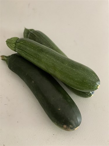 Zucchini- 3-pack (mediums)
