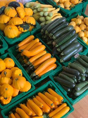 Zucchini- 6 pack mediums