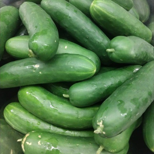English Cucumbers