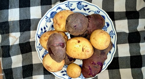 Potatoes