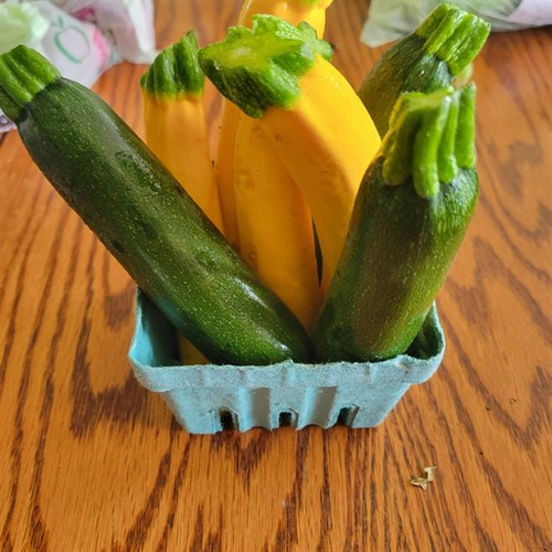 Zucchini- Baby -Pint