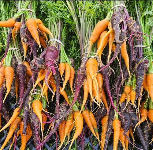 Carrot mix bunch