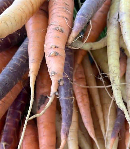 Rainbow Carrots