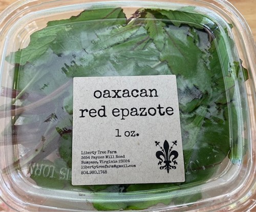 Oaxacan Red Epazote