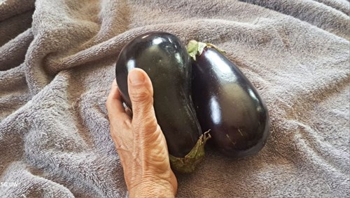 Eggplant