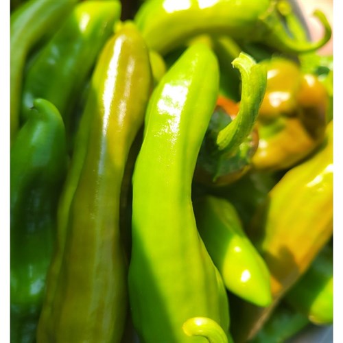 Peppers- Anaheim Chili – ½ lb