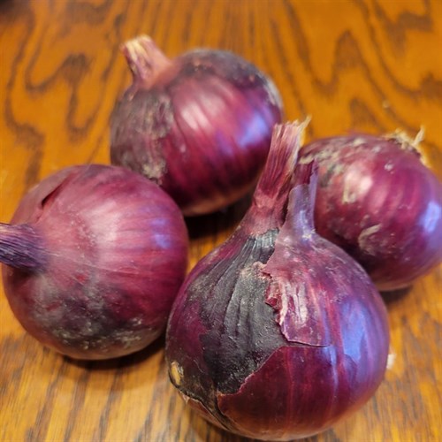 Onion- Red Onion 1 LB