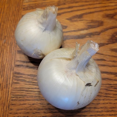 Onion- Superstar 1 LB
