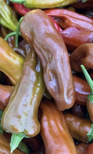 Chilaca Peppers