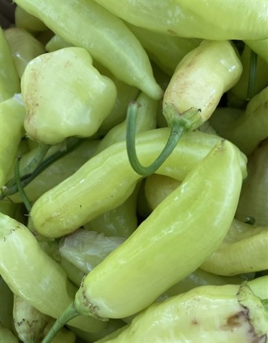 Aji Cristal