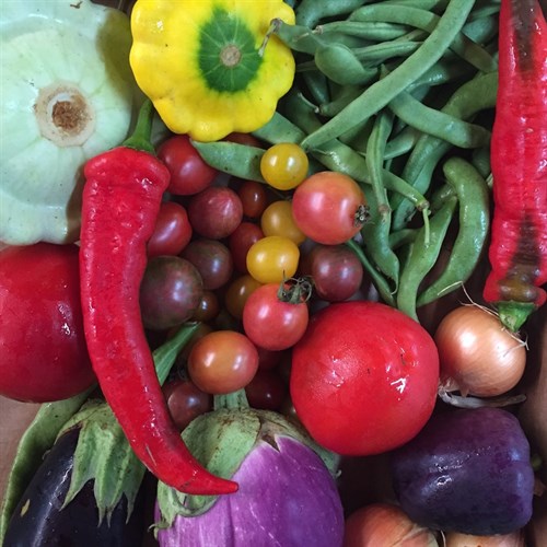 A Peak of the Season Veggie Pack