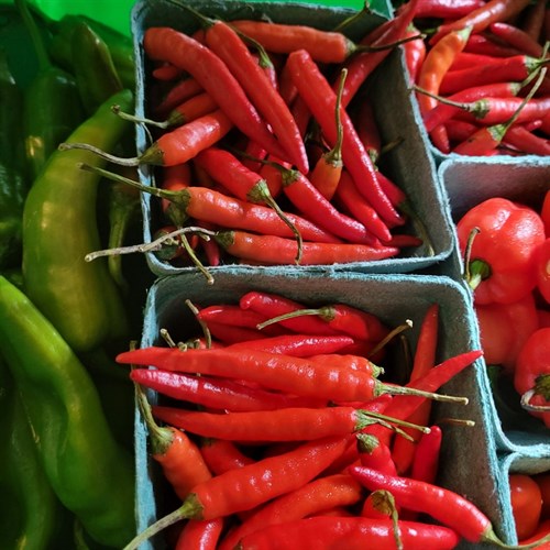 Hot Pepper Palooza 1/2 LB