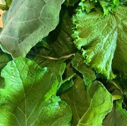Liberty Tree Farm-Hearty Greens