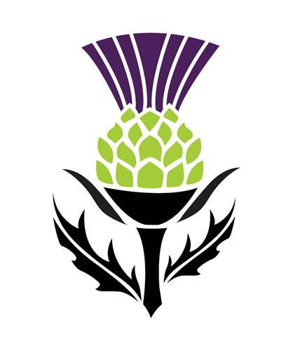 * SPECIAL - Turkey Pot Pie