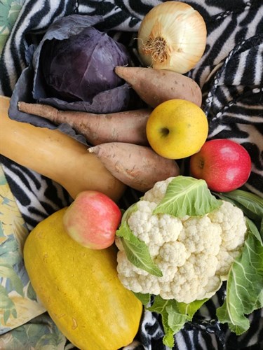 'A  Pick of the Week Mini'