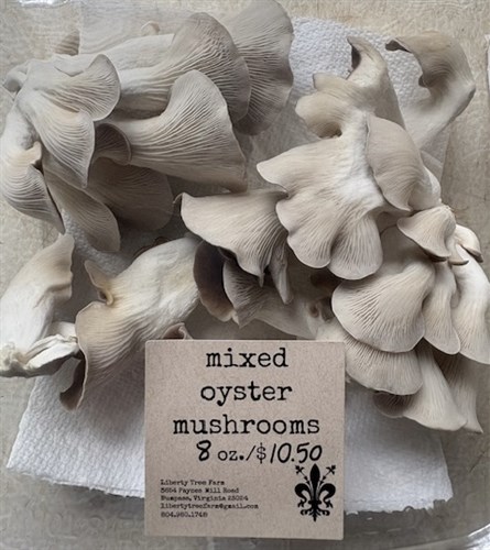 Mixed Oyster Mushrooms