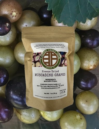 Freeze Dried Muscadine Grapes