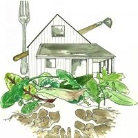Sugar Snap Peas