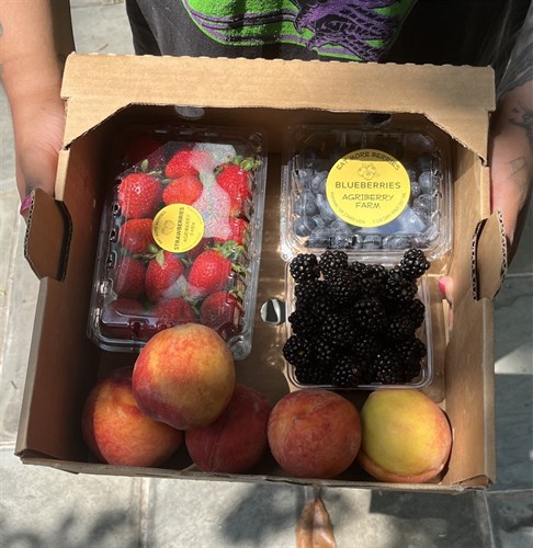 *A Farmers Choice Fruit Box*