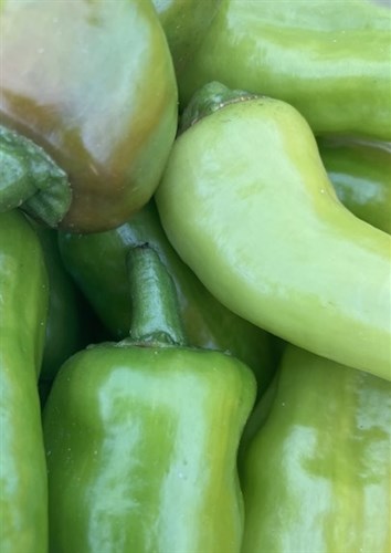 Chile de Agua