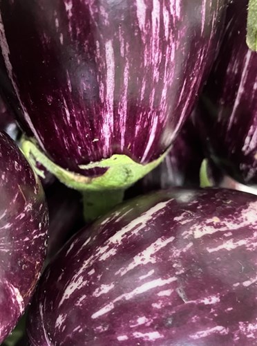 Indian Eggplant