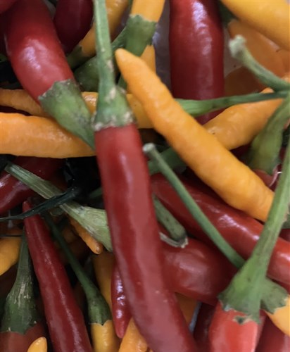 Thai Chile