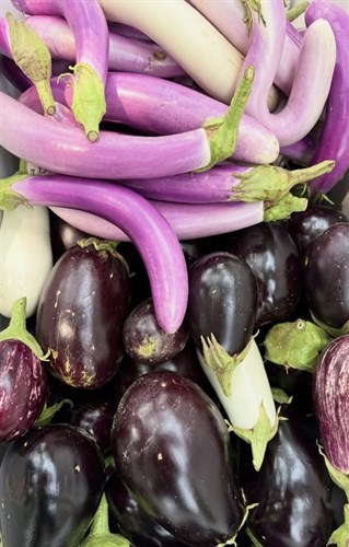 Mixed Eggplant
