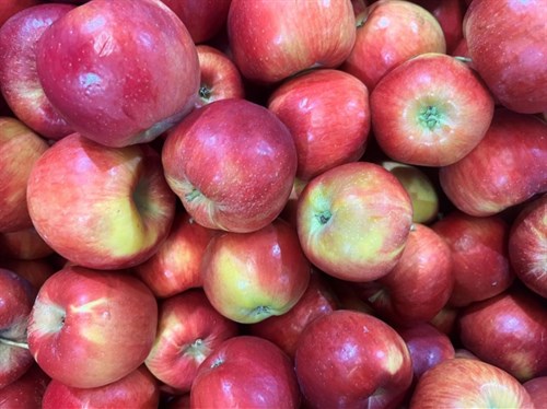 Apple: Sweet Maia