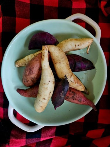 Sweet  Potatoes