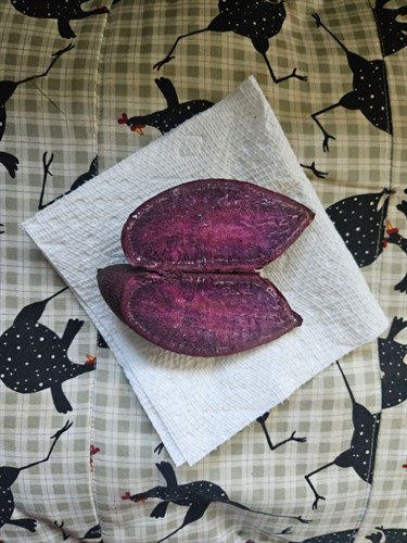 Sweet Potatoes, Purple Magesty